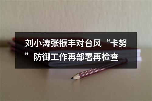 刘小涛张振丰对台风“卡努”防御工作再部署再检查