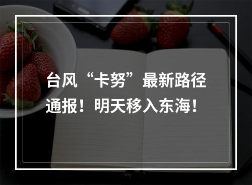 台风“卡努”最新路径通报！明天移入东海！