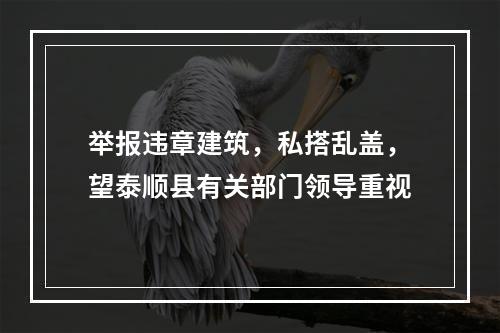 举报违章建筑，私搭乱盖，望泰顺县有关部门领导重视