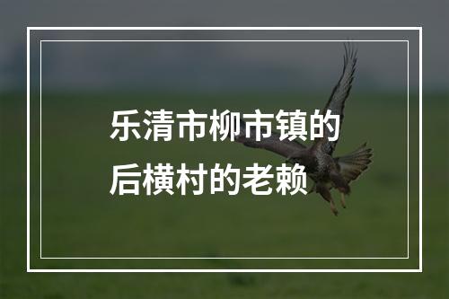 乐清市柳市镇的后横村的老赖