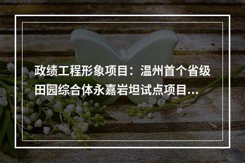 政绩工程形象项目：温州首个省级田园综合体永嘉岩坦试点项目网罗一下