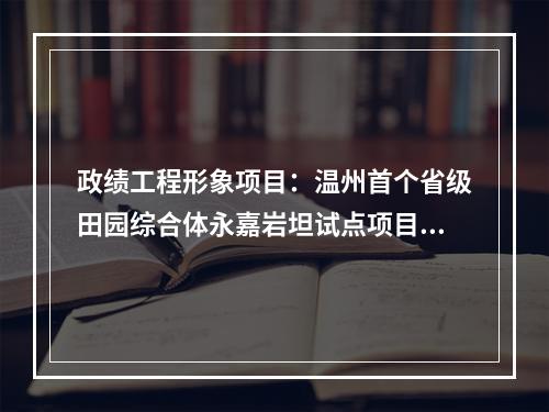 政绩工程形象项目：温州首个省级田园综合体永嘉岩坦试点项目网罗一下