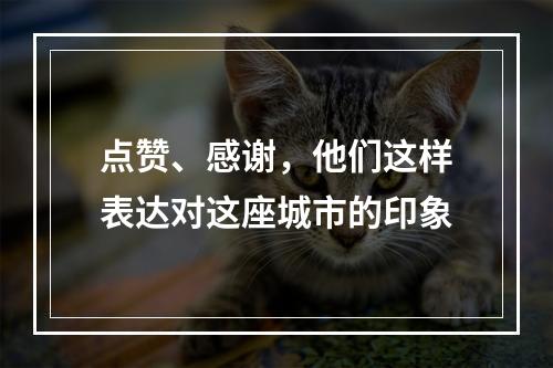 点赞、感谢，他们这样表达对这座城市的印象