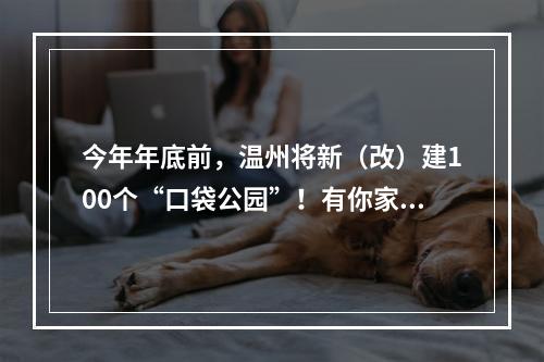 今年年底前，温州将新（改）建100个“口袋公园”！有你家附近的吗？