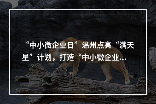 “中小微企业日”温州点亮“满天星”计划，打造“中小微企业友好城市”！