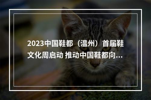 2023中国鞋都（温州）首届鞋文化周启动 推动中国鞋都向世界鞋都迈进