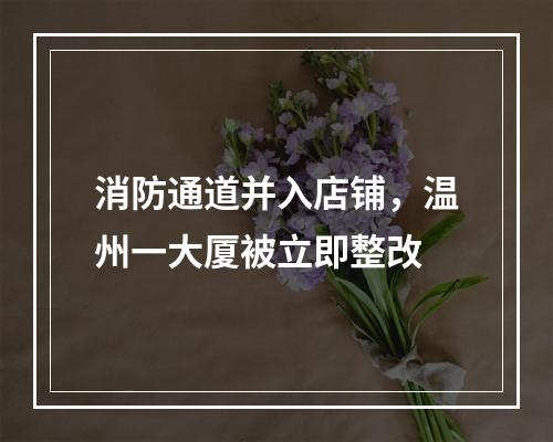 消防通道并入店铺，温州一大厦被立即整改