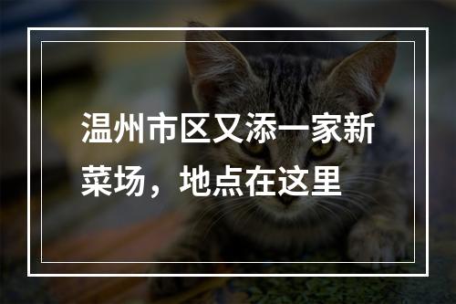 温州市区又添一家新菜场，地点在这里