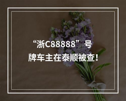“浙C88888”号牌车主在泰顺被查！