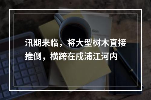汛期来临，将大型树木直接推倒，横跨在戍浦江河内