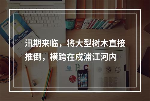 汛期来临，将大型树木直接推倒，横跨在戍浦江河内