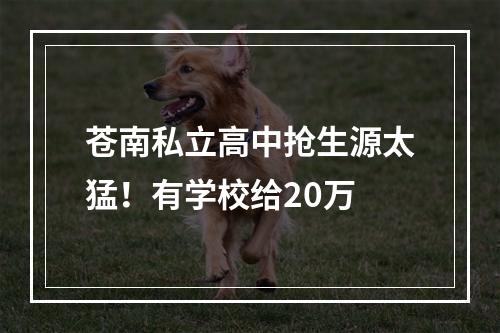 苍南私立高中抢生源太猛！有学校给20万
