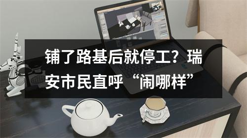 铺了路基后就停工？瑞安市民直呼“闹哪样”