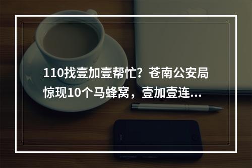 110找壹加壹帮忙？苍南公安局惊现10个马蜂窝，壹加壹连夜处置