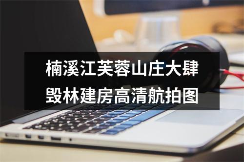 楠溪江芙蓉山庄大肆毁林建房高清航拍图