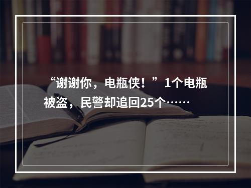 “谢谢你，电瓶侠！”1个电瓶被盗，民警却追回25个……
