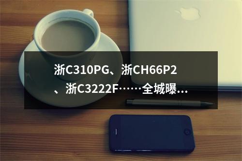 浙C310PG、浙CH66P2、浙C3222F……全城曝光！
