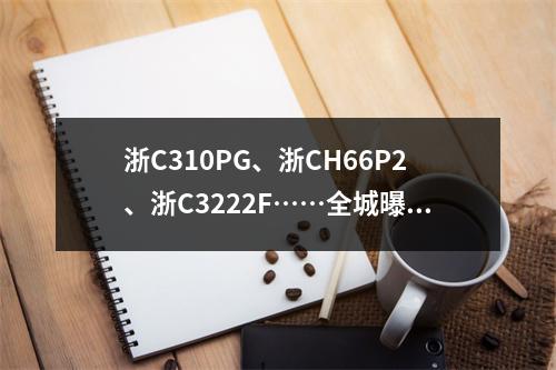 浙C310PG、浙CH66P2、浙C3222F……全城曝光！