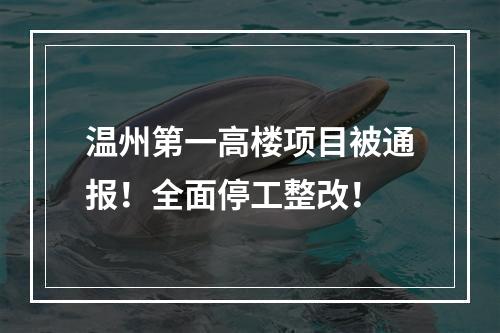 温州第一高楼项目被通报！全面停工整改！