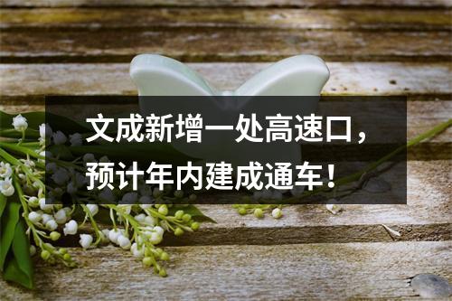 文成新增一处高速口，预计年内建成通车！