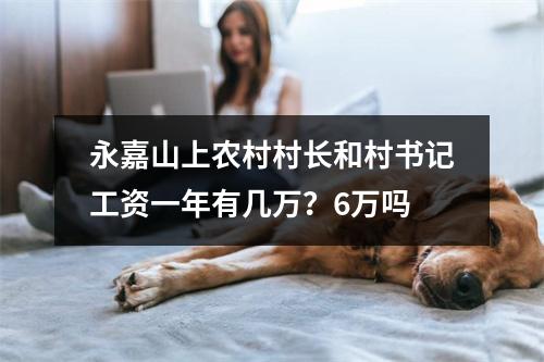 永嘉山上农村村长和村书记工资一年有几万？6万吗