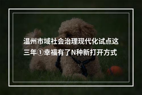 温州市域社会治理现代化试点这三年①幸福有了N种新打开方式