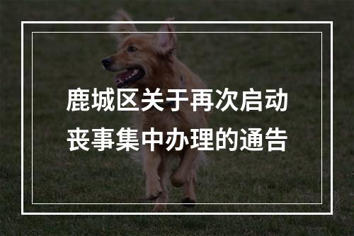鹿城区关于再次启动丧事集中办理的通告