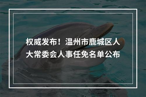 权威发布！温州市鹿城区人大常委会人事任免名单公布