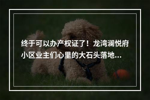 终于可以办产权证了！龙湾澜悦府小区业主们心里的大石头落地了…