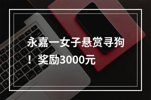 永嘉一女子悬赏寻狗！奖励3000元