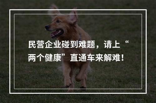 民营企业碰到难题，请上“两个健康”直通车来解难！