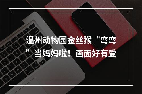 温州动物园金丝猴“弯弯”当妈妈啦！画面好有爱