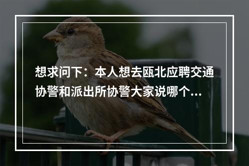想求问下：本人想去瓯北应聘交通协警和派出所协警大家说哪个岗位好？