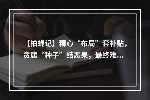 【拍蝇记】精心“布局”套补贴，贪腐“种子”结恶果，最终难逃纪法严惩！
