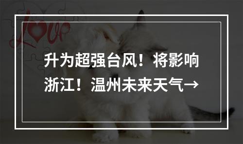 升为超强台风！将影响浙江！温州未来天气→