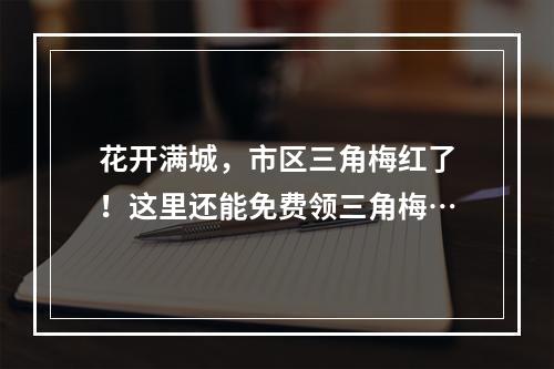 花开满城，市区三角梅红了！这里还能免费领三角梅…