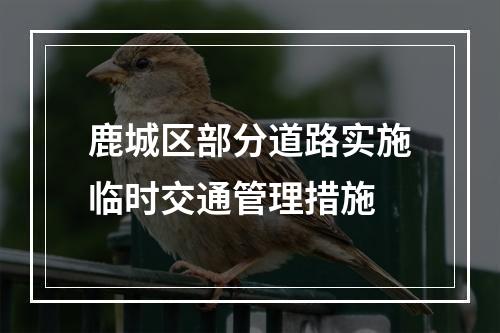 鹿城区部分道路实施临时交通管理措施