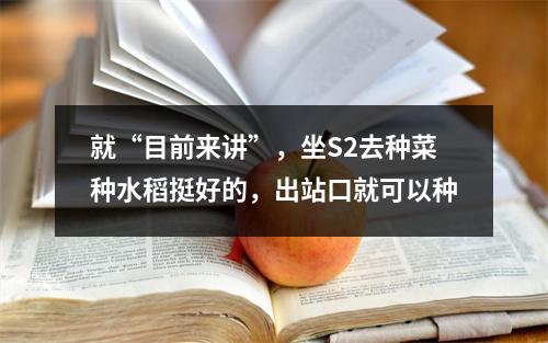 就“目前来讲”，坐S2去种菜种水稻挺好的，出站口就可以种