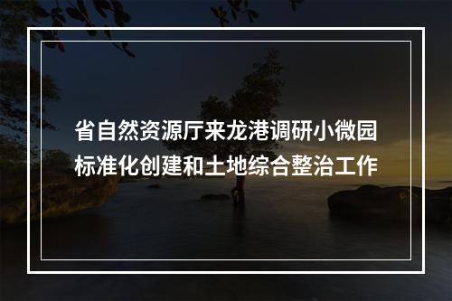 省自然资源厅来龙港调研小微园标准化创建和土地综合整治工作