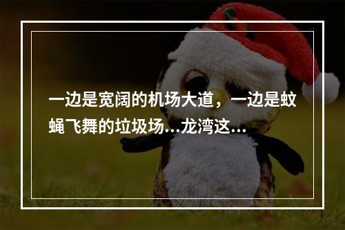一边是宽阔的机场大道，一边是蚊蝇飞舞的垃圾场...龙湾这个小区沿河配套何时开建？...