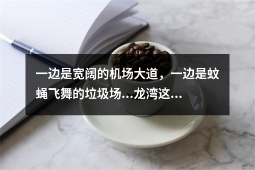一边是宽阔的机场大道，一边是蚊蝇飞舞的垃圾场...龙湾这个小区沿河配套何时开建？...