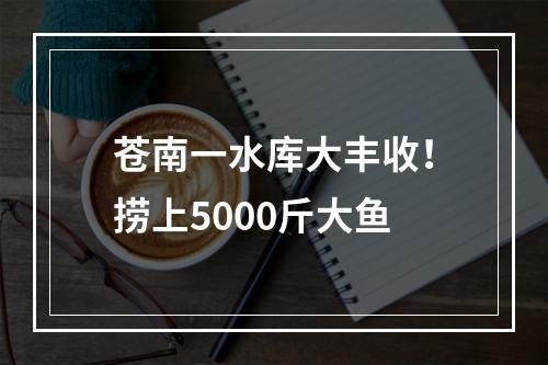 苍南一水库大丰收！捞上5000斤大鱼