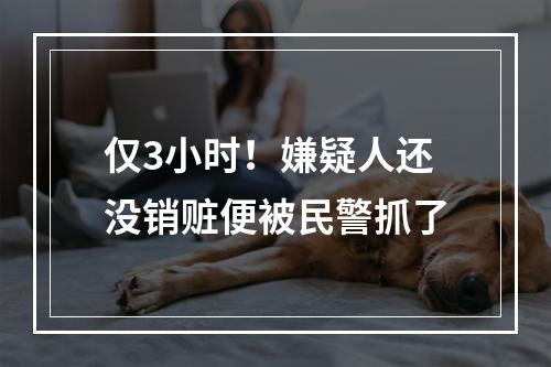仅3小时！嫌疑人还没销赃便被民警抓了