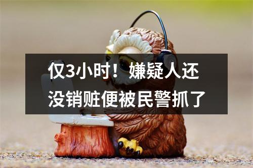 仅3小时！嫌疑人还没销赃便被民警抓了