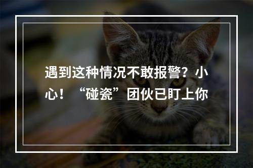 遇到这种情况不敢报警？小心！“碰瓷”团伙已盯上你