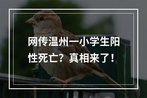 网传温州一小学生阳性死亡？真相来了！
