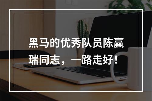 黑马的优秀队员陈赢瑞同志，一路走好！