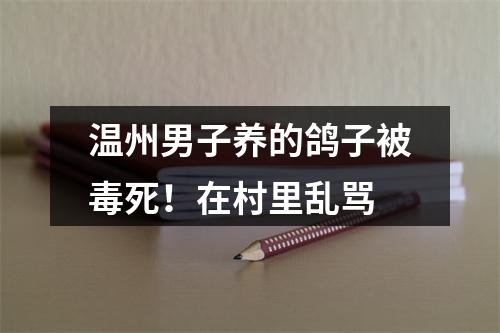 温州男子养的鸽子被毒死！在村里乱骂