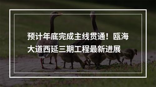 预计年底完成主线贯通！瓯海大道西延三期工程最新进展