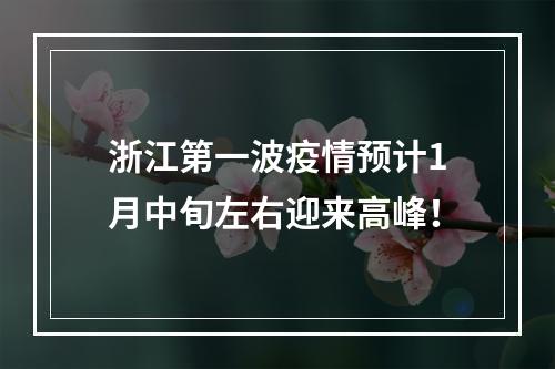 浙江第一波疫情预计1月中旬左右迎来高峰！